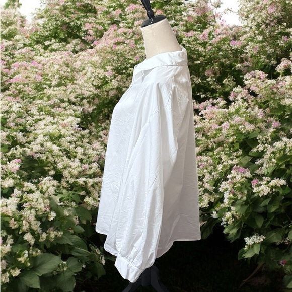 Grand & Greene Classic White Button-Up Blouse With Sparkling Buttons - Picture 3 of 7